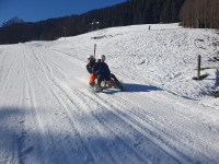 shared_image_3